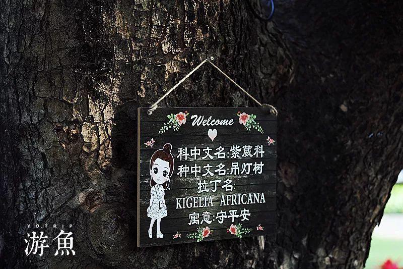 8000多元买的宠物鸭散步走失被过路人抓走，险些成为老鸭煲
